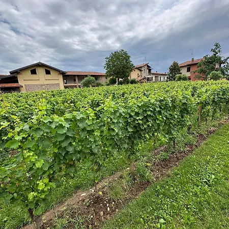 Borgo Nel Vigneto 2 בית נופש *